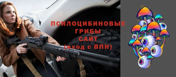 ПСИЛОЦИБИНОВЫЕ ГРИБЫ Медногорск