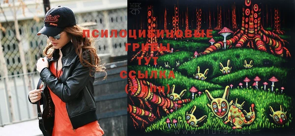 ПСИЛОЦИБИНОВЫЕ ГРИБЫ Медногорск