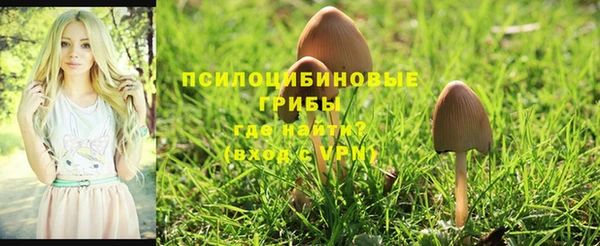 jwh Мегион