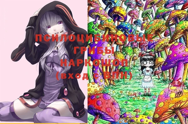 марки nbome Медвежьегорск