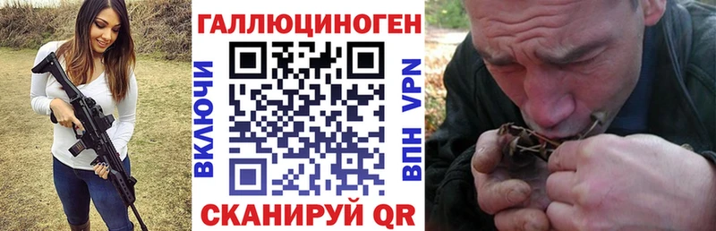Купить закладки  Уржум  Псилоцибиновые грибы Cubensis 
